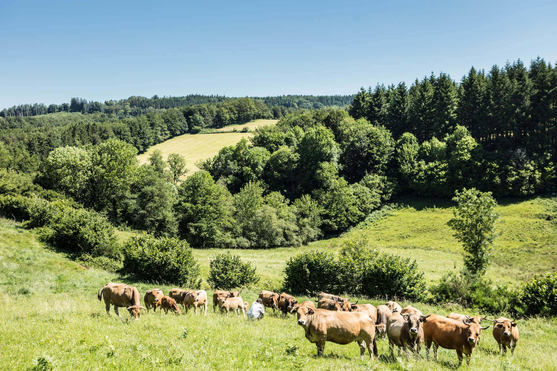 Préservation des ressources naturelles